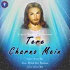 About Tere Charno Mein Song